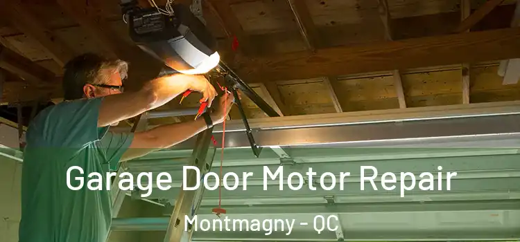  Garage Door Motor Repair Montmagny - QC