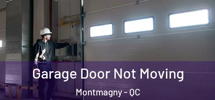 Garage Door Not Moving Montmagny - QC
