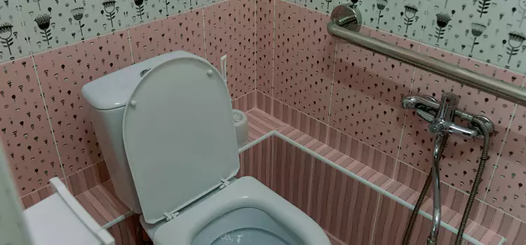 Meeting Diverse Needs With Accessible Restroom Solutions in Montmagny, QC