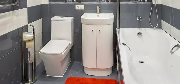 Hansgrohe Shaving Mirror Montmagny